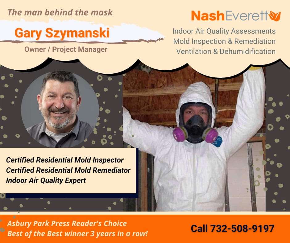 Mold Remediation